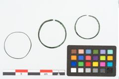 Foto von Bronzebandring (NHMW-PRAE-025319)